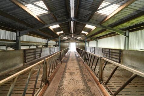 Cubicle Shed