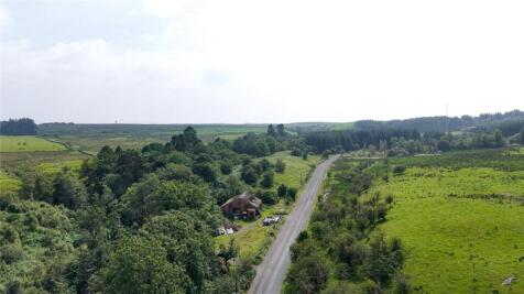 Aerial Photograph