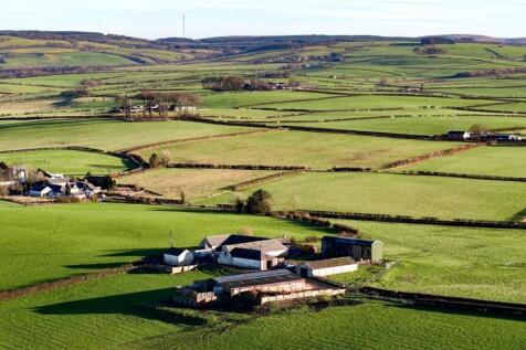 West Ashyard