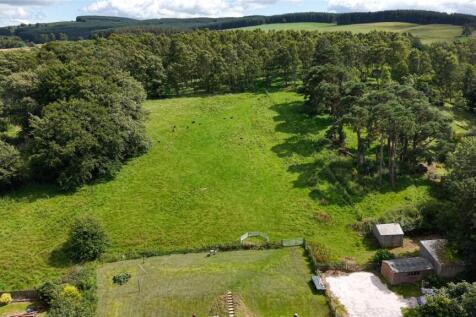 Grazing Land
