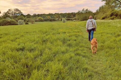 Country walk.jpg