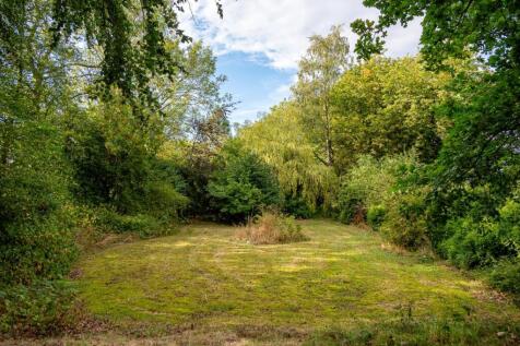 Kirkdale-7.jpg