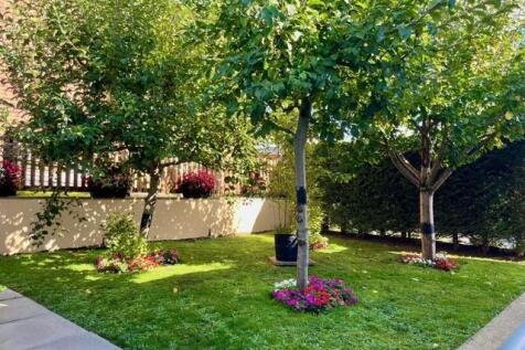 Garden 7.jpg