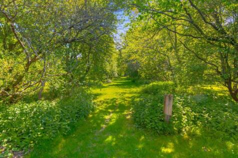 Property Image 39
