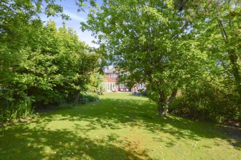 Garden Rear
