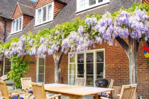 Wysteria