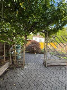Photograph 11
