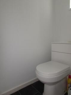 Photograph 7