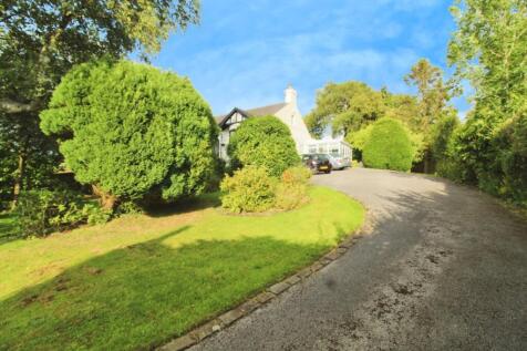 Driveway Garden