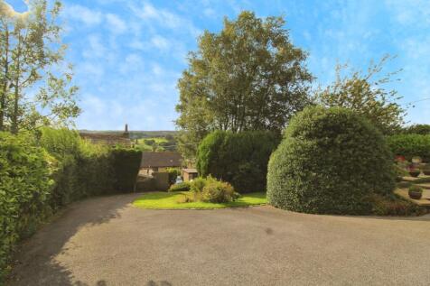 Driveway View