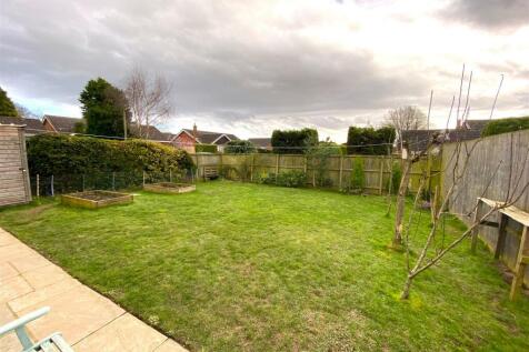 garden2.JPG
