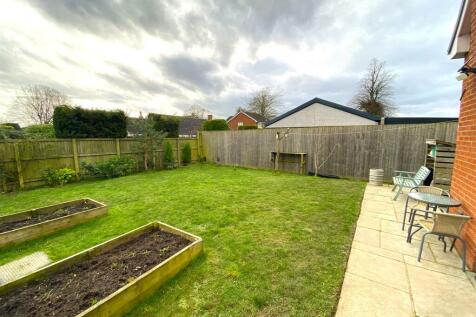 garden3.JPG