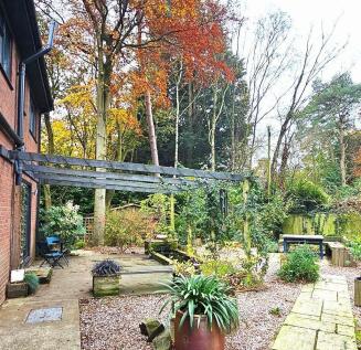 garden1.jpg