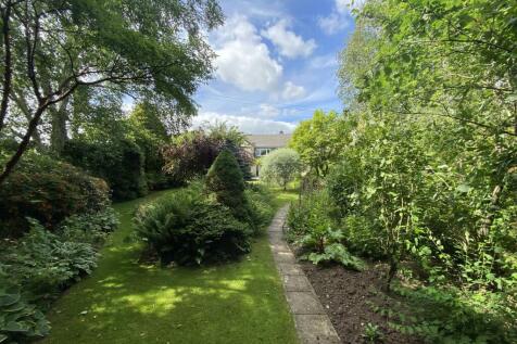 garden.JPG