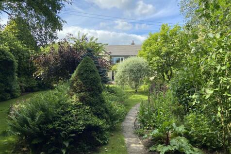garden1.JPG