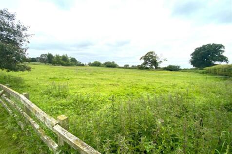 field.JPG
