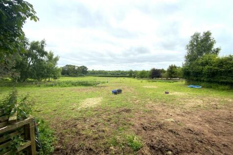 topfield3.JPG