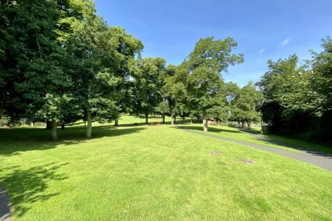 park5.JPG
