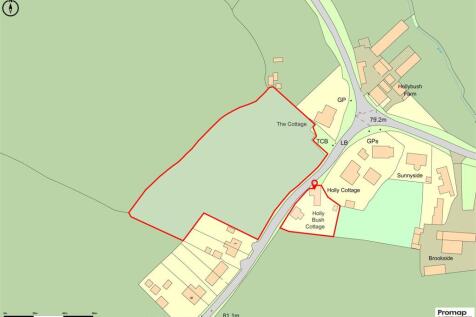 Promap-3127322-3224859-750-0.jpg