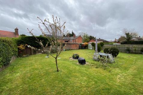 Garden.....jpg
