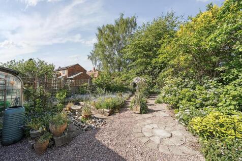 garden.JPG