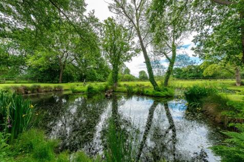 DSC_0009.jpg