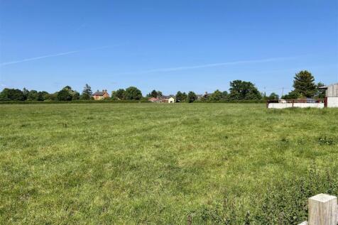 field view.JPG