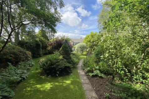 garden.JPG