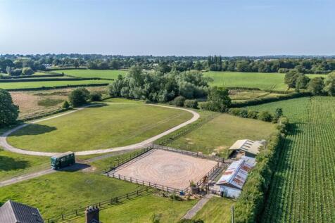 Aerial Gallops