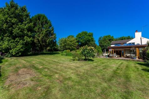 garden4.jpg