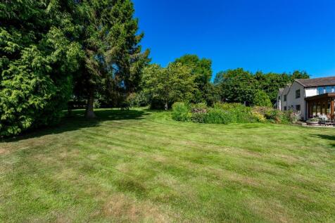 garden6.jpg