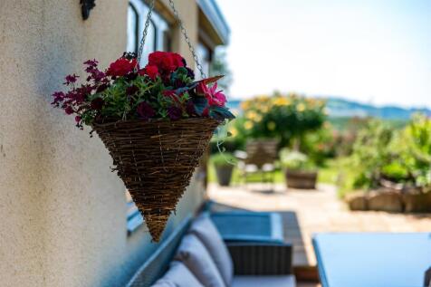 patioview.jpg