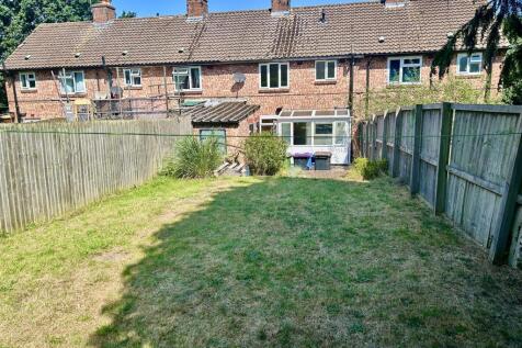 garden2.JPG