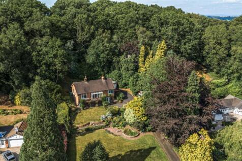 Aerial Woodland
