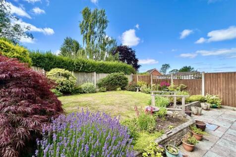 garden1.JPG