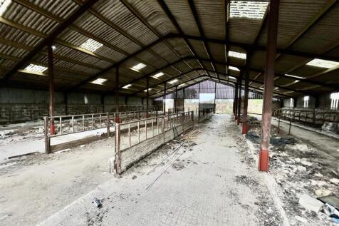 insidebarn.JPG