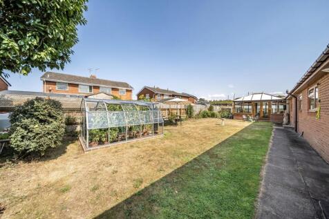 garden1.jpg