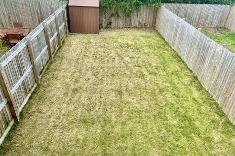 garden.JPG