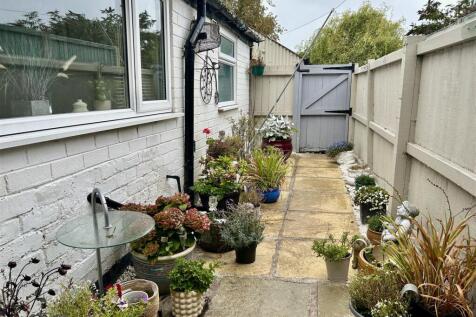 yard.JPG