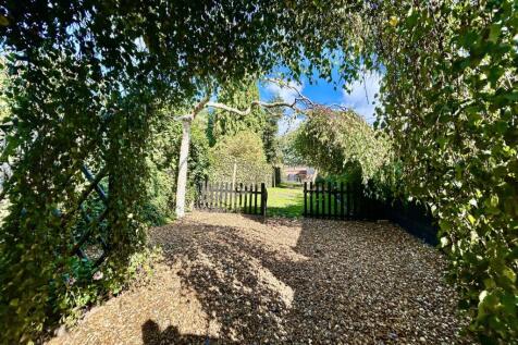 garden.JPG