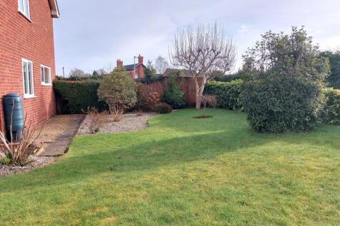 Side Garden