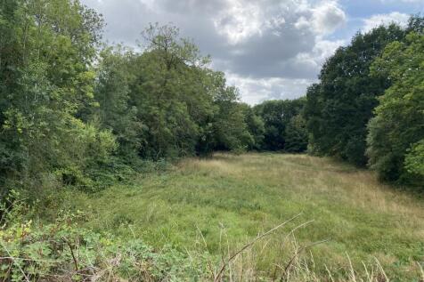Surrounding View