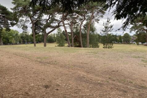 Area Views