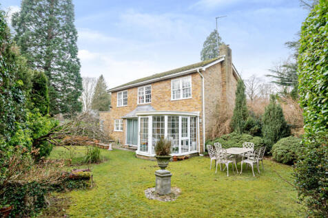 Rear Elevation