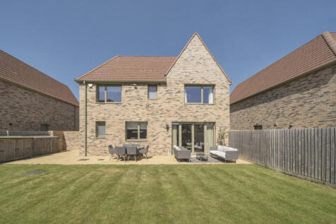 Rear Elevation