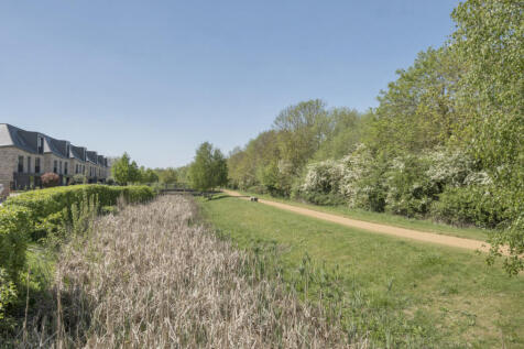 Near By Walks
