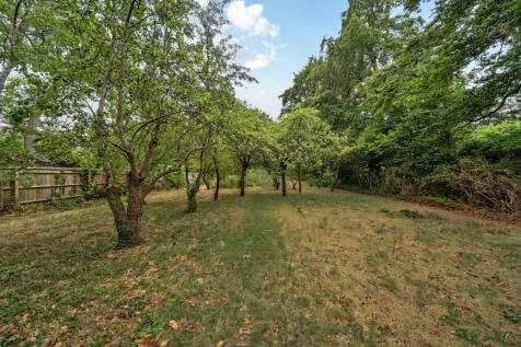 South Facing Gardens