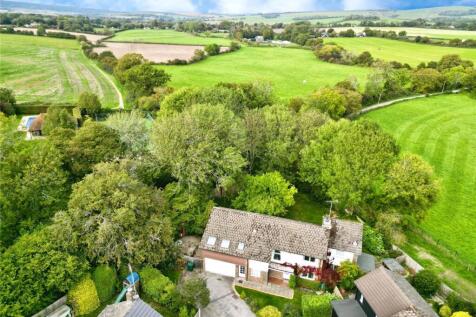 Aerial Shot