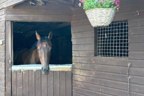 Stables
