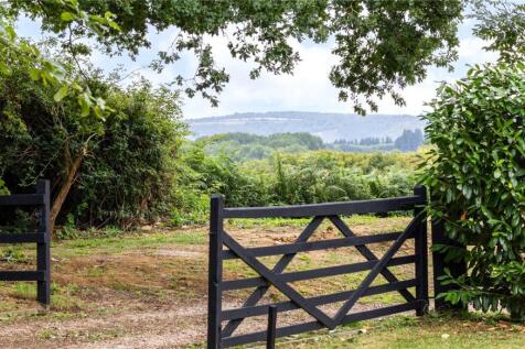 View To The Downs